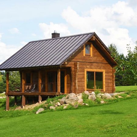 Vip Forest Dreams Villa Anykščiai Dış mekan fotoğraf