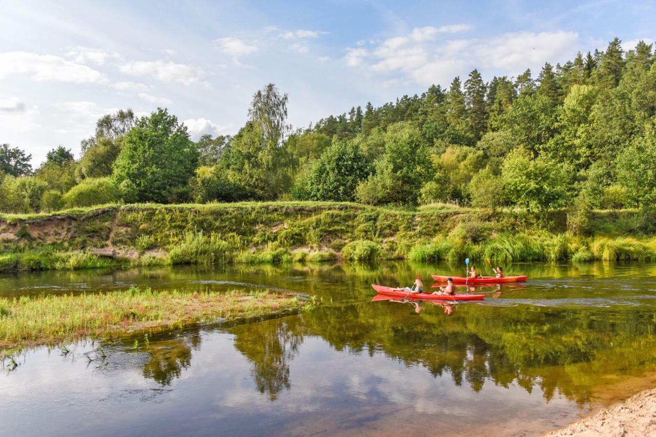 Vip Forest Dreams Villa Anykščiai Dış mekan fotoğraf