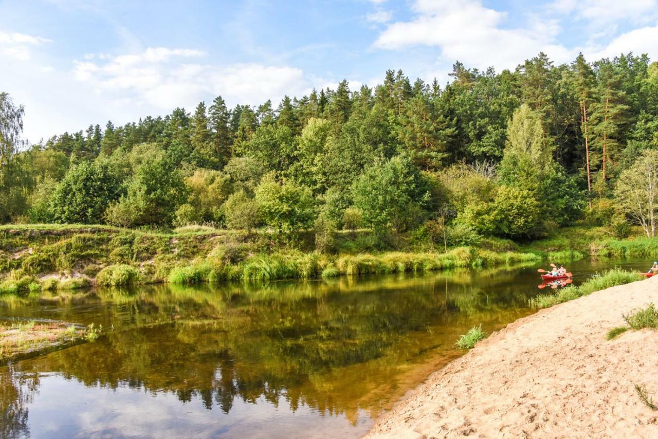 Vip Forest Dreams Villa Anykščiai Dış mekan fotoğraf