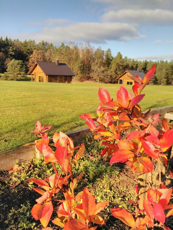 Vip Forest Dreams Villa Anykščiai Dış mekan fotoğraf