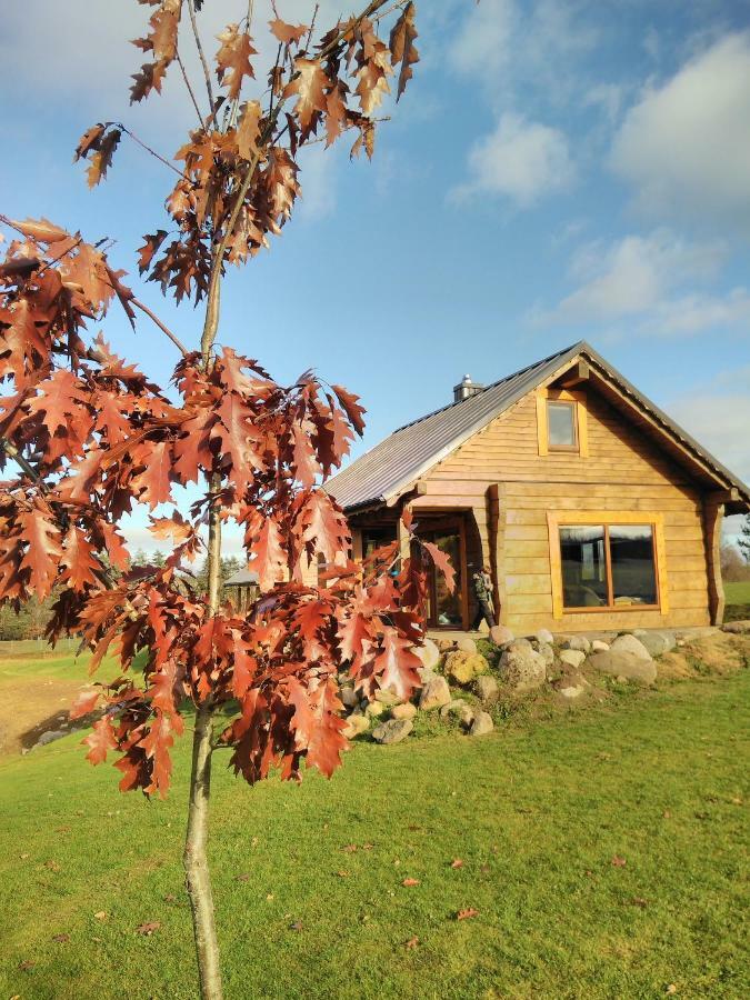 Vip Forest Dreams Villa Anykščiai Dış mekan fotoğraf