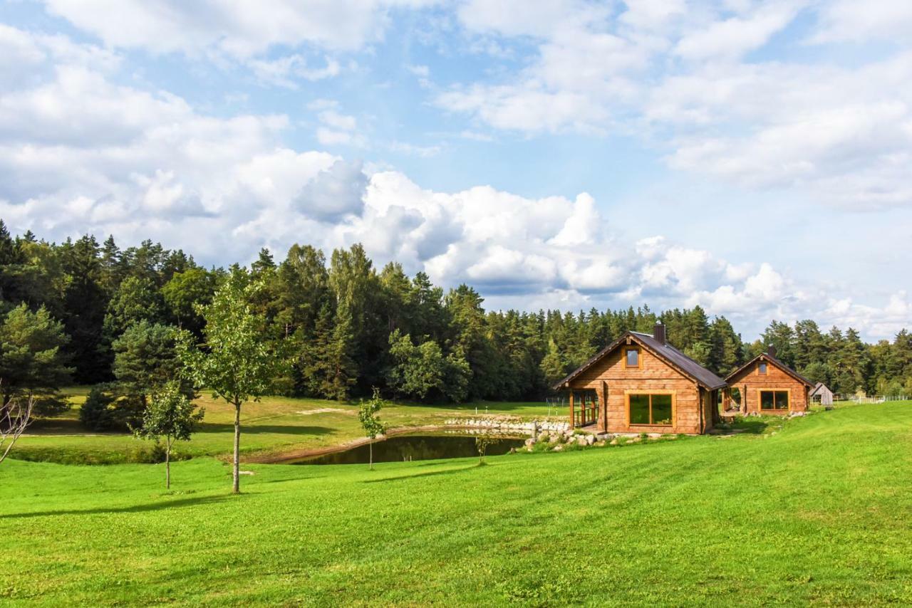 Vip Forest Dreams Villa Anykščiai Dış mekan fotoğraf