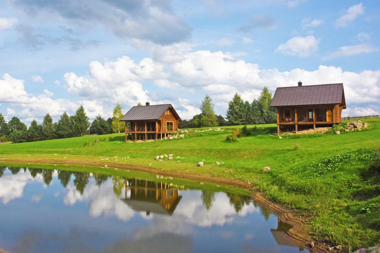 Vip Forest Dreams Villa Anykščiai Dış mekan fotoğraf