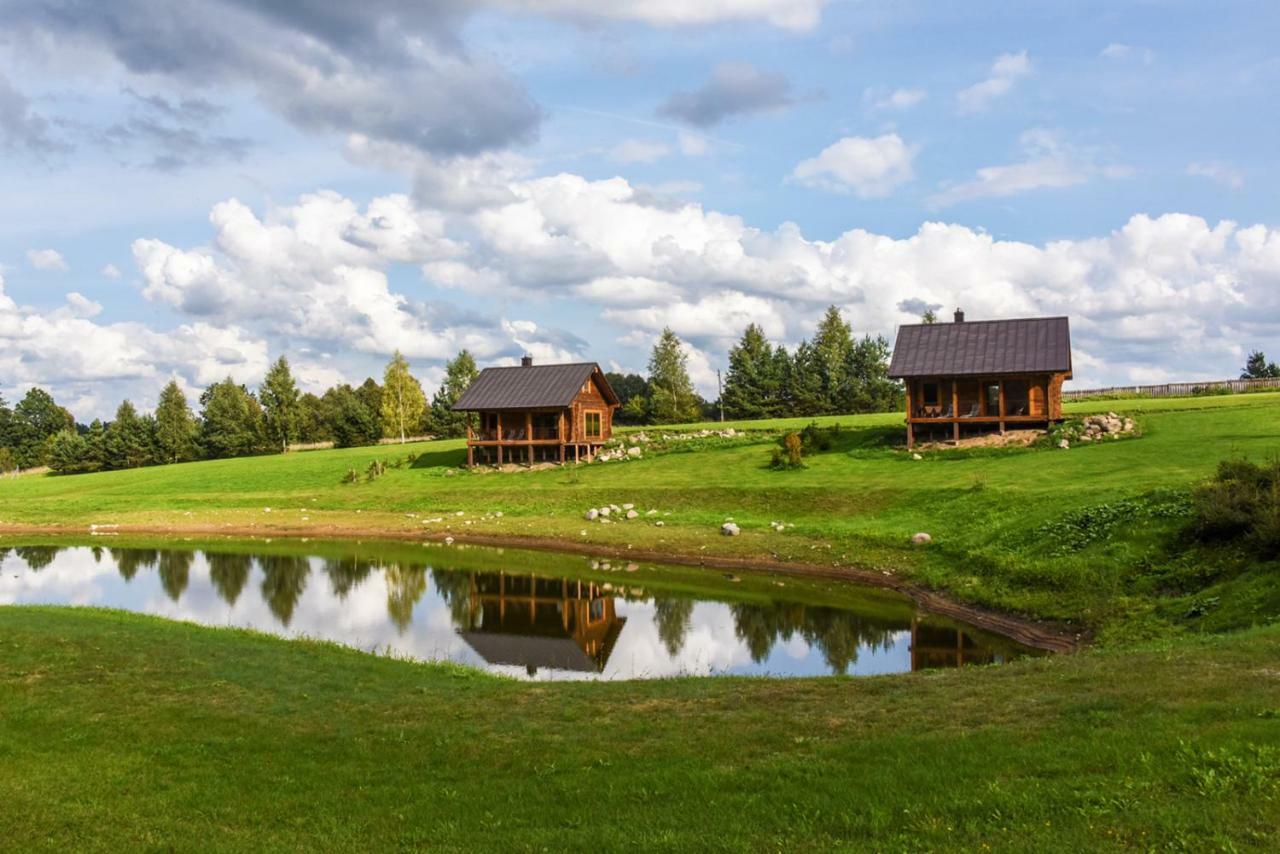 Vip Forest Dreams Villa Anykščiai Dış mekan fotoğraf