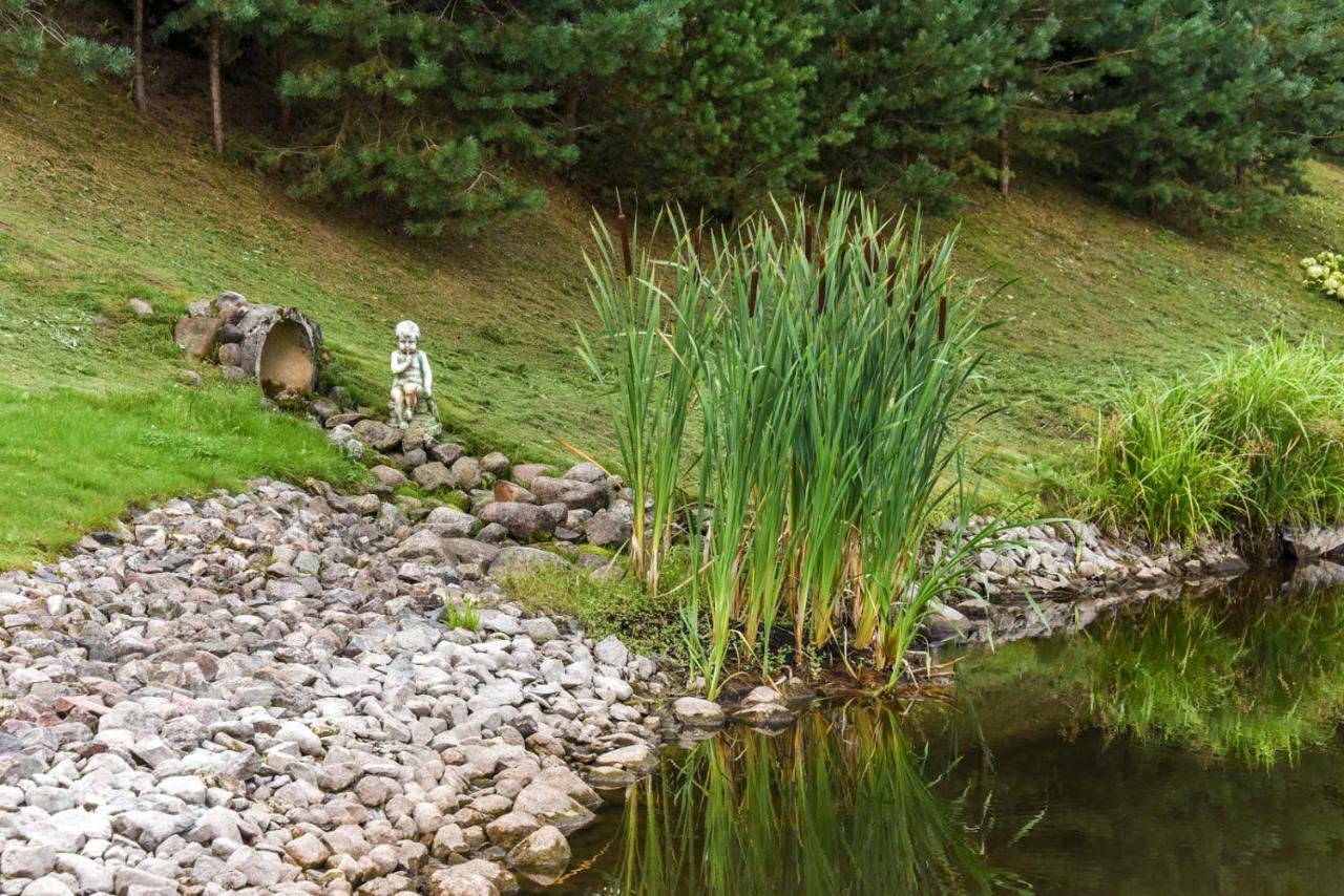 Vip Forest Dreams Villa Anykščiai Dış mekan fotoğraf
