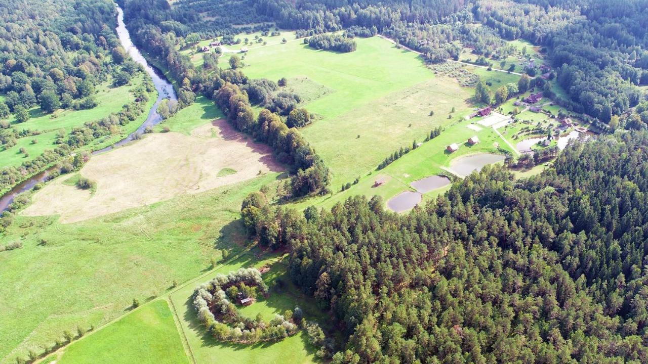 Vip Forest Dreams Villa Anykščiai Dış mekan fotoğraf