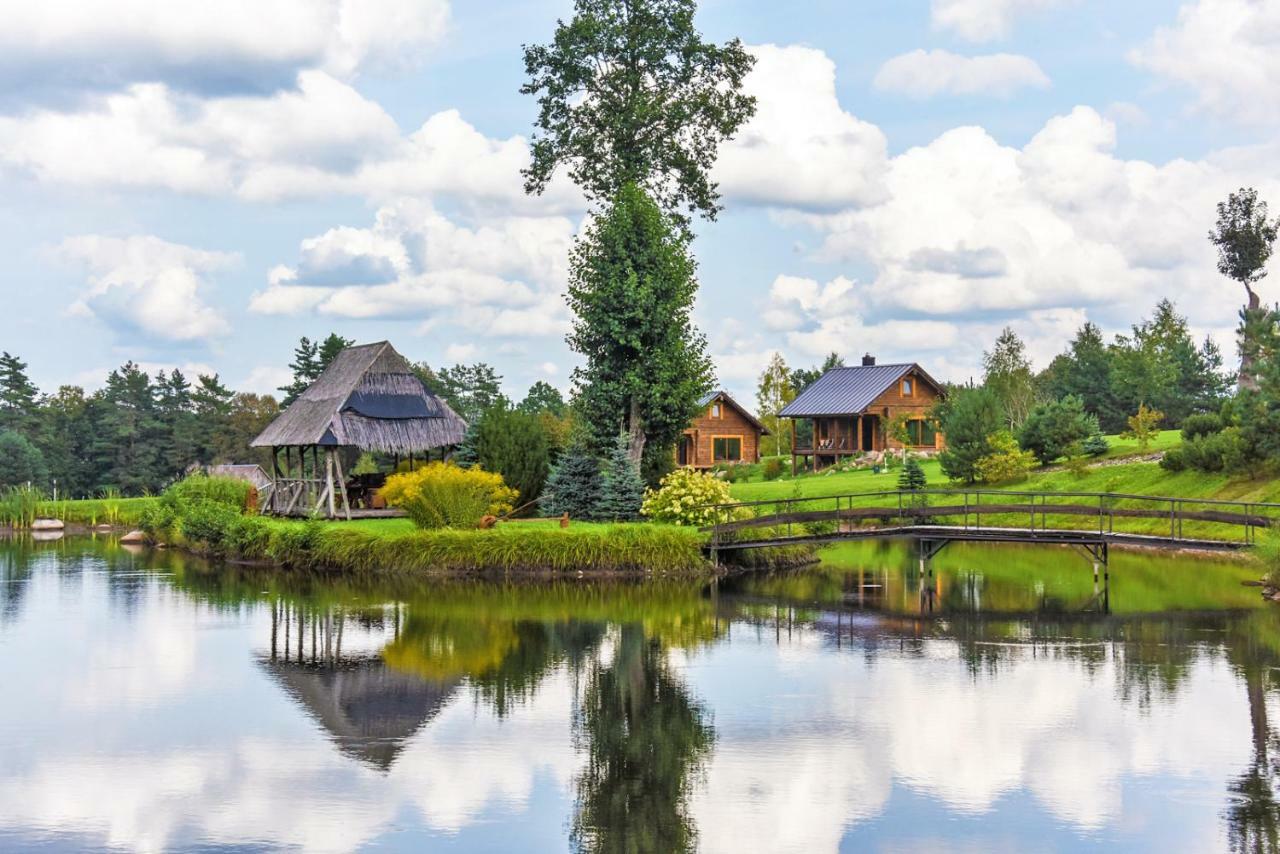 Vip Forest Dreams Villa Anykščiai Dış mekan fotoğraf